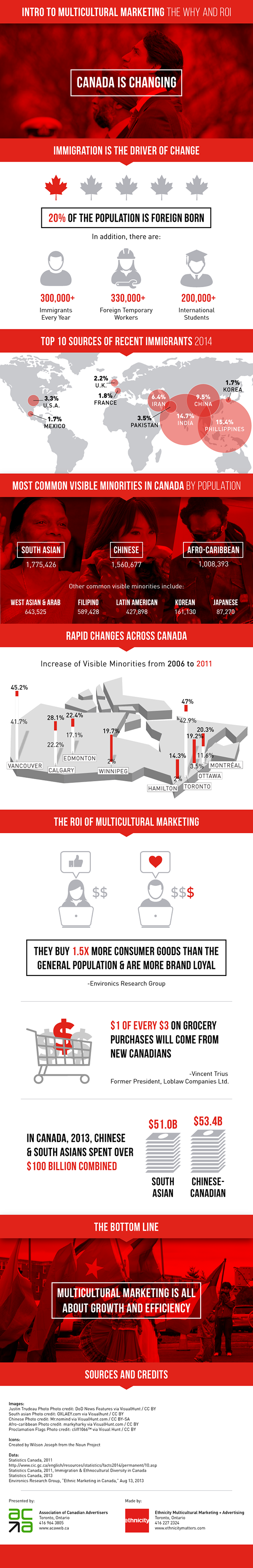 Multicultural Marketing Infographic